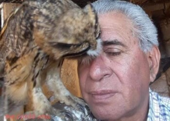 Hoy se celebra el Día Internacional de las Aves