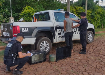 Espero que su vecina saliera y le desvalijó la casa