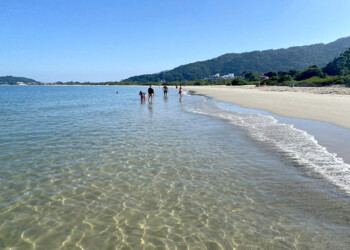 Argentinos en Brasil: “Vinieron menos y mucho más gasoleros”
