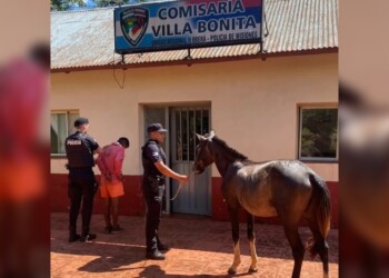Joven fue detenido por robar un caballo a su vecino