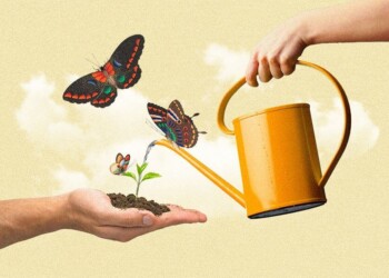 La clave para el 2024