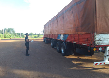 Secuestran camión de transporte de encomiendas sin documentación