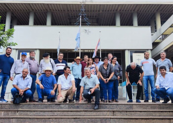 Asociaciones yerbateras presentaron cautelar para que productores no se queden sin cobertura de salud