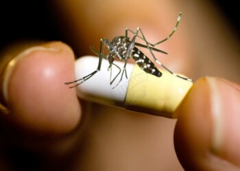 “De ninguna manera el Tamiflu está comprobada como una medicación antiviral para el dengue”
