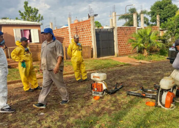 Dengue: alertan que aumentan las internaciones y son más prolongadas