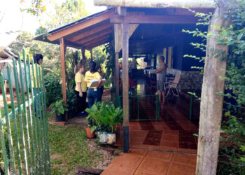 Dengue: en la última semana se notificaron 2.089 febriles y hay 27 personas internadas