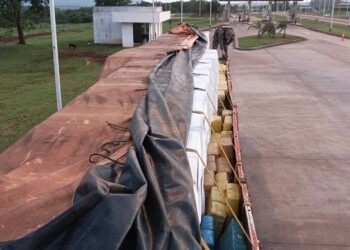 El chofer se puso nervioso y le encontraron casi 5 toneladas de marihuana