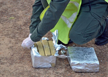 Secuestran más de 20 kilos de marihuana que partió desde Misiones en encomiendas