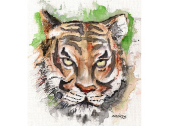 Escritores de Misiones: “El tigre”, de Renata Otto