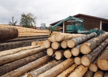 La forestoindustria no pagará retenciones y Misiones negocia para dejar afuera al tabaco
