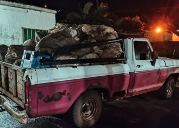 Armados y con dólares, intentaron escapar de Gendarmería