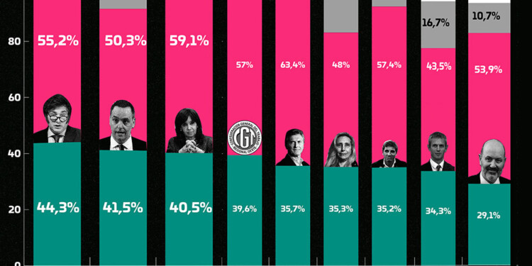 CUESTIÓN DE IMAGEN. Presidente, expresidente, ministros y funcionarios medidos en la primera encuesta de 2024.