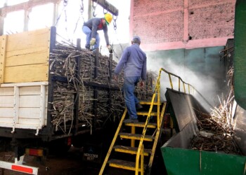 Por tercer año consecutivo no habrá zafra cañera en Misiones y hablan de convertir el Ingenio Azucarero “en un museo”