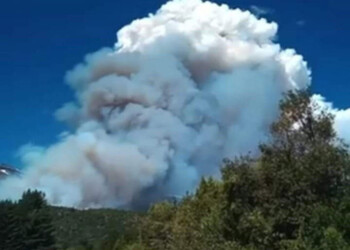 El incendio en Parque Los Alerces está fuera de control