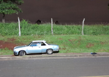 Joven de 24 años murió tras ser atropellada en Posadas