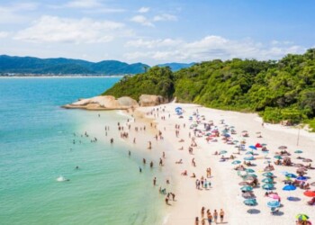 Señalan que Brasil sigue siendo elegida por los misioneros pero la demanda “se redujo un 50%”