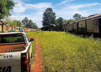 Como en el Viejo Oeste: atraparon a dos prófugos escondidos en vagones de tren