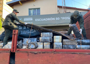 Gendarmería incautó más de una tonelada de marihuana en vehículos abandonados