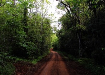 El rally misionero vuelve a El Soberbio después de 13 años