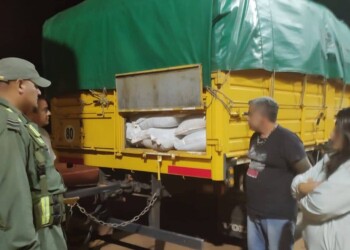 El nuevo “hit” de Bullrich: “Operativo Sojaijú” en Misiones