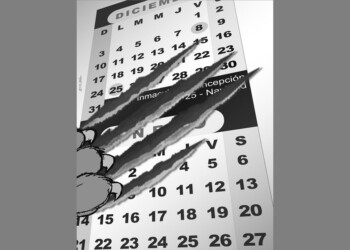 Enfoque: Los 30 de Milei