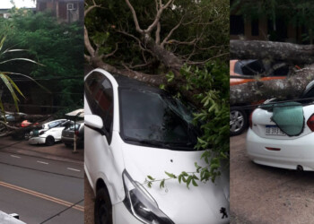 Repentina tormenta con fuertes vientos golpeó la zona sur de Misiones