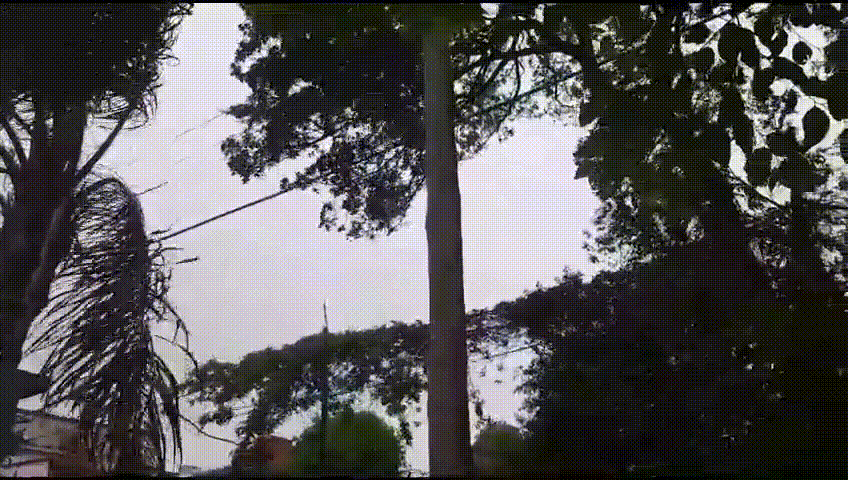 Los más perjudicados son los de siempre: nuestro editorial de hoy