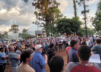 Ayer cesó la cosecha de yerba en el norte y buscan extenderla a toda la provincia