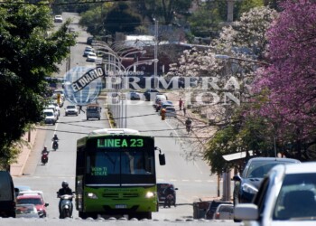 Posadas: ¿qué colectivos pondrán las interesadas en quedarse con líneas de Bencivenga?
