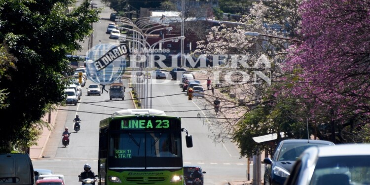 INCÓGNITA. ¿Las empresas interesadas en quedarse con las líneas 14, 16, 23 y 28  tienen los colectivos que hacen falta?
