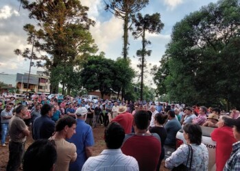 En San Pedro, productores mantienen la sugerencia de no vender la hoja verde a menos de $505