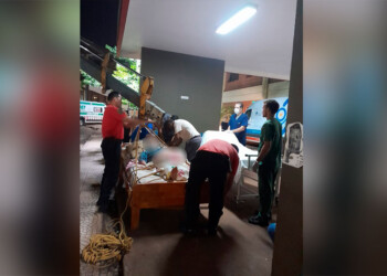 Prioridad: asistir a como dé lugar a quien lo necesite