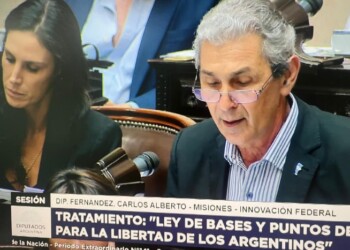 Renovadores, macristas y radicales misioneros votaron a favor de la ley ómnibus de Milei