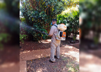 En Misiones, el 90% de las víctimas fatales de dengue son mujeres