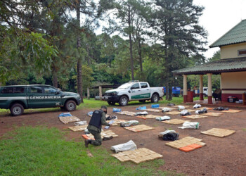 Puerto Esperanza: incautaron 21 bultos con marihuana ocultos en el monte