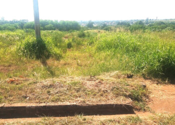 Barrio del autódromo pide limpieza de predio