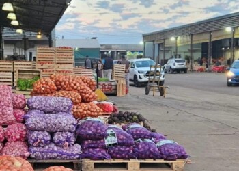 “La crisis derrumbó el consumo y la gente solo compra papa y cebolla”