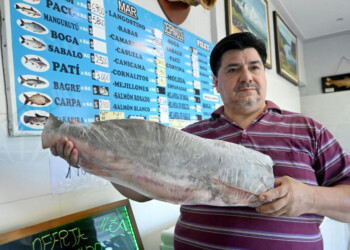 Comenzó la Cuaresma y el pescado de río más económico arranca en los 2.000 pesos