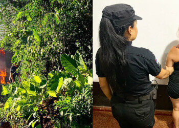 Tras una discusión con su cuñada, habría decidido incendiarle la casa