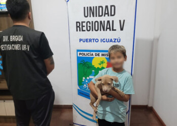 Recuperan a una perrita pitbull y múltiples objetos robados en Iguazú