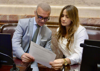 Arce y Rojas Decut pidieron una sesión para tratar el DNU 70/2023 en el Senado