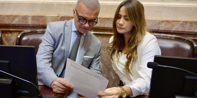 RENOVADORES. Los senadores Arce y Rojas Decut se sumaron a pares de otras provincias para pedir la sesión.