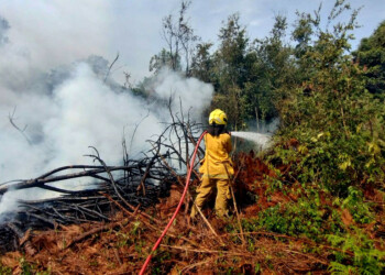 “Se acentúa la intervención en focos de incendios pequeños”