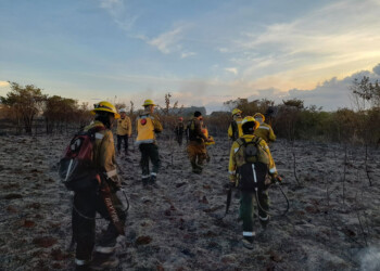 Más de siete horas trabajaron los bomberos de Puerto Rico para controlar un incendio en un monte