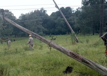 Fuertes ráfagas de viento tumbaron postes y afectaron el tendido eléctrico en el Alto Uruguay