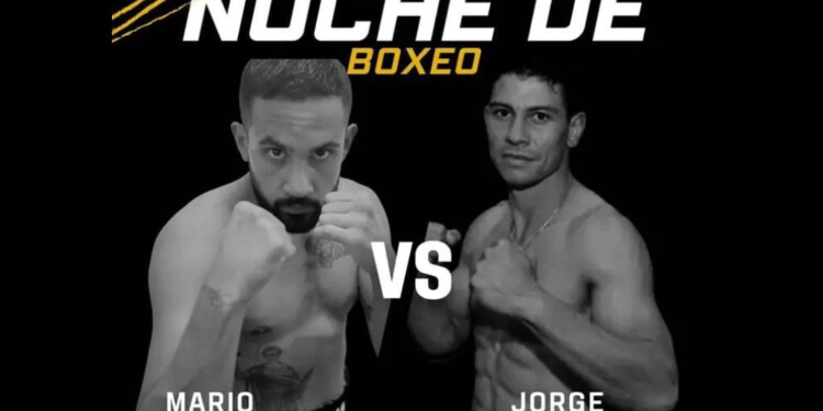 EN LA FAB. El misionero Cardozo enfrentará este viernes a Sandoval.