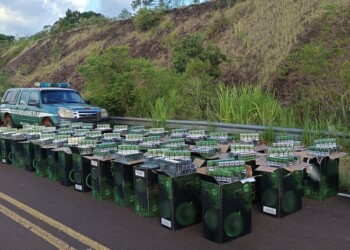 Dejó una camioneta cargada con 20 mil paquetes de cigarrillos extranjeros y se fugó