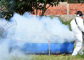 Dengue: el número de febriles semanales se mantiene alto y son 55 los internados