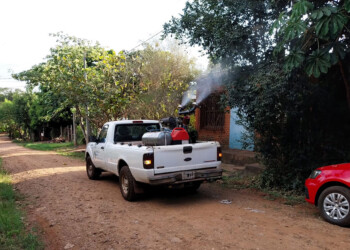 Dengue: el pico de la curva llegó a mediados de enero y se mantiene arriba desde entonces