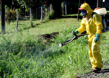 Dengue: el número de febriles semanales se mantiene alto y son 55 los internados